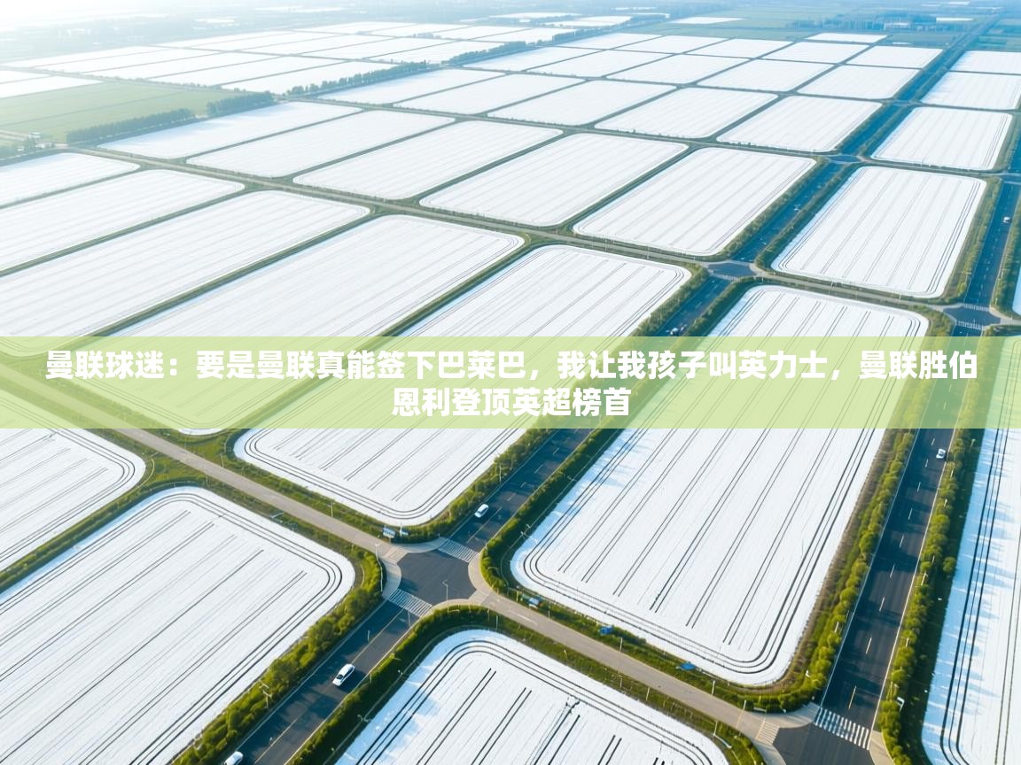 曼联球迷：要是曼联真能签下巴莱巴，我让我孩子叫英力士，曼联胜伯恩利登顶英超榜首  第2张