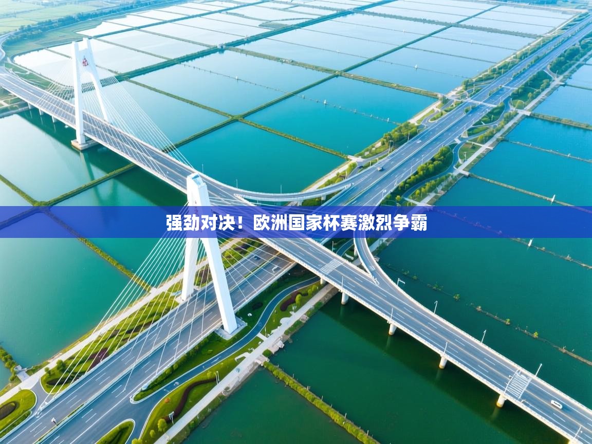 强劲对决！欧洲国家杯赛激烈争霸  第1张