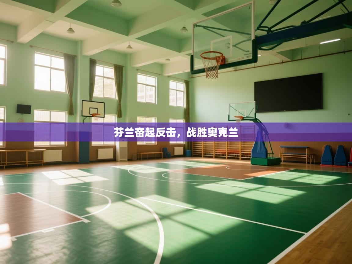 芬兰奋起反击，战胜奥克兰  第1张