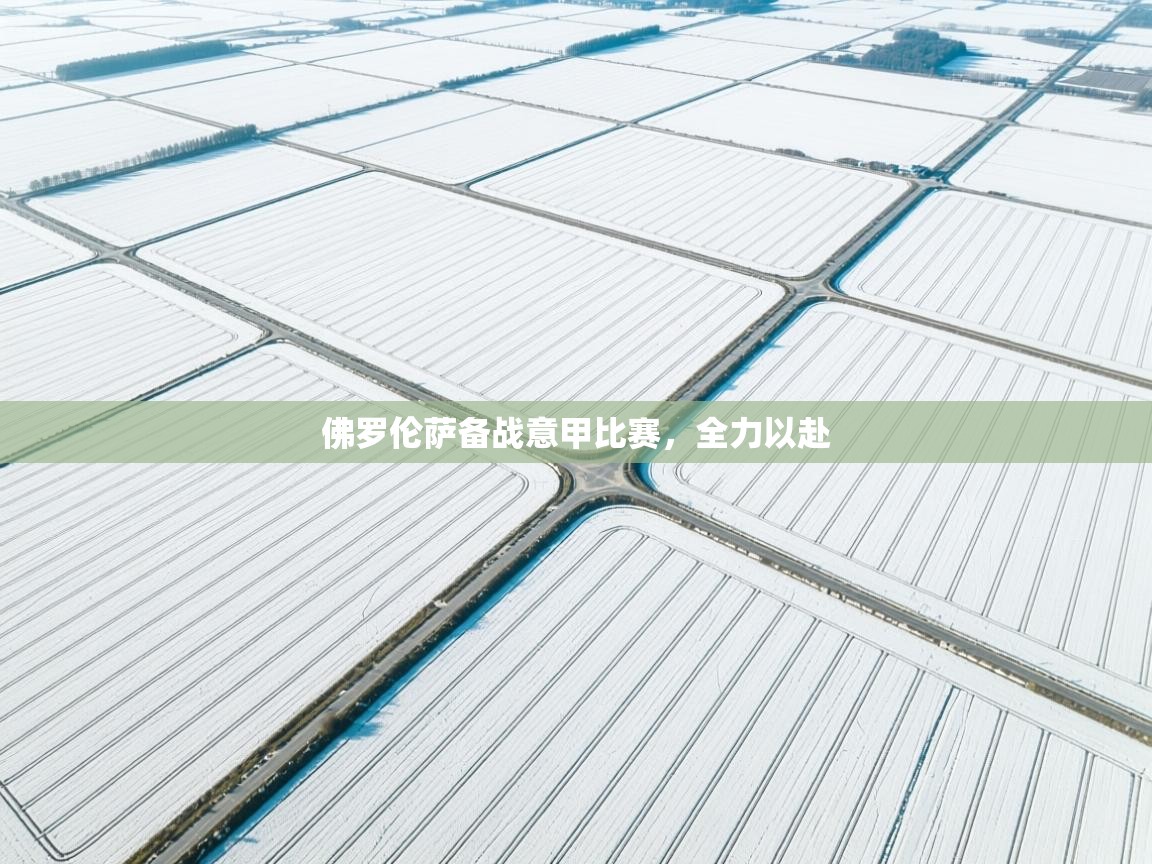 佛罗伦萨备战意甲比赛，全力以赴  第2张